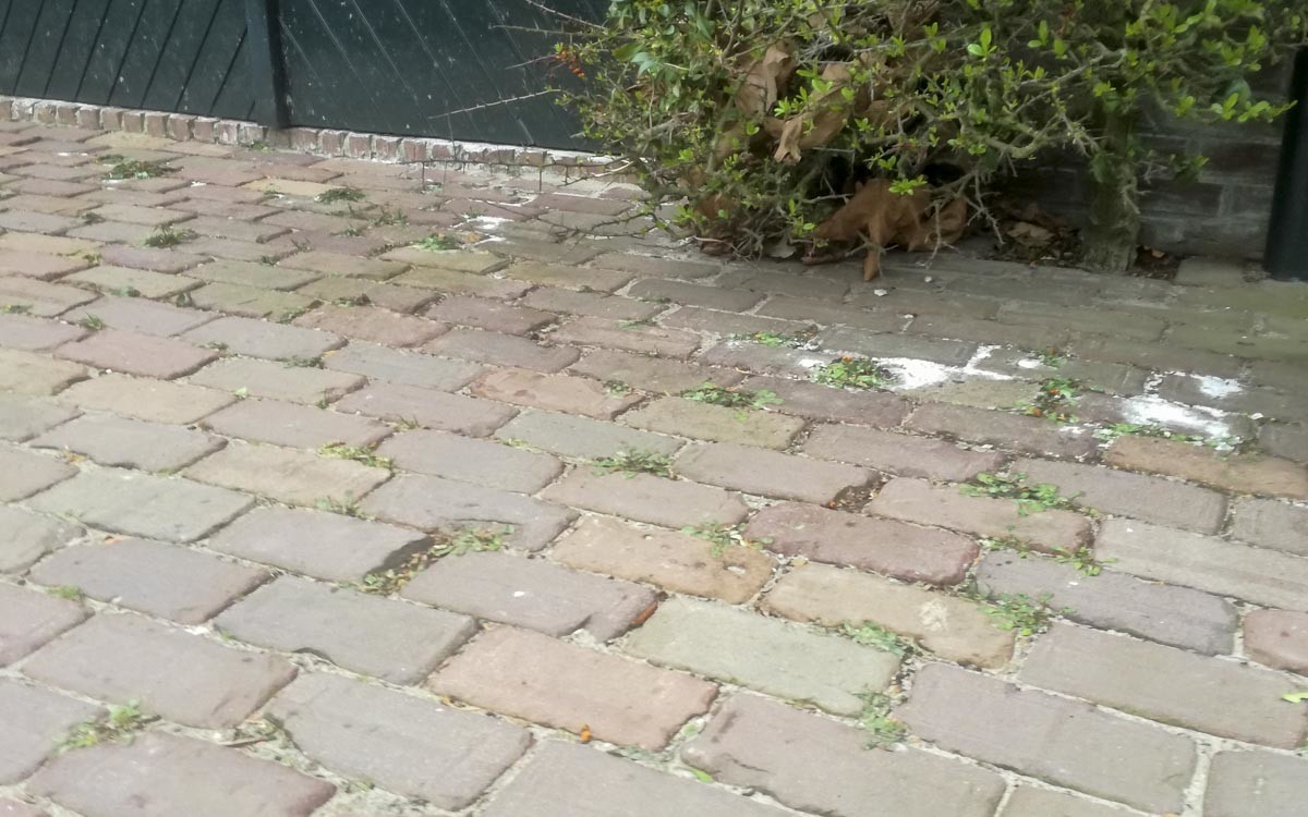 Onkruidverdelging milieuvriendelijk