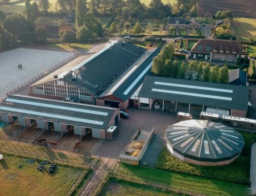 Groot reinigings- en onderhoudsproject Rucphen