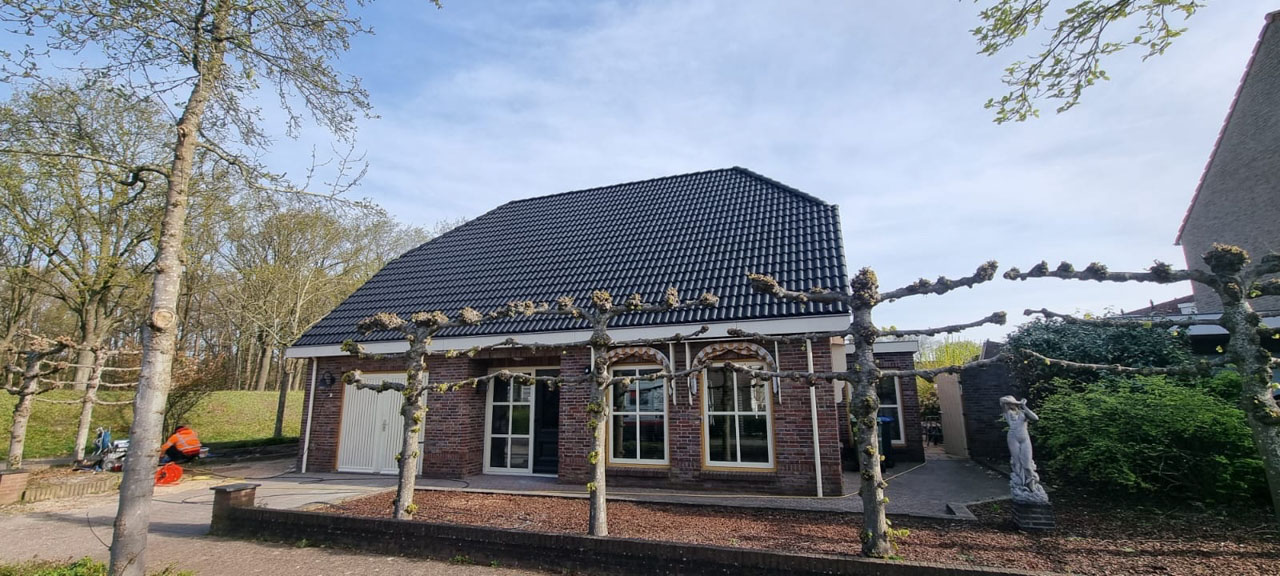 Dak coaten Halsteren