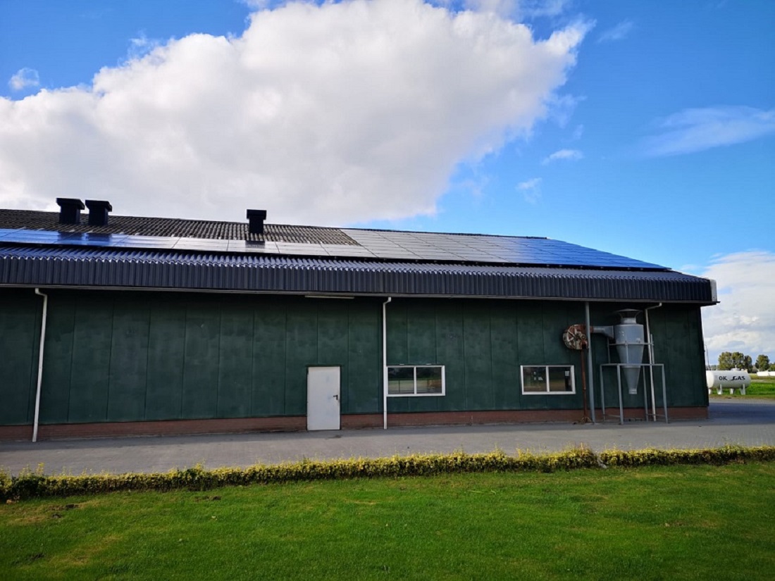 Dakcoating golfplaten