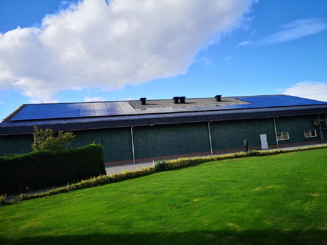 Golfplaten dak coaten