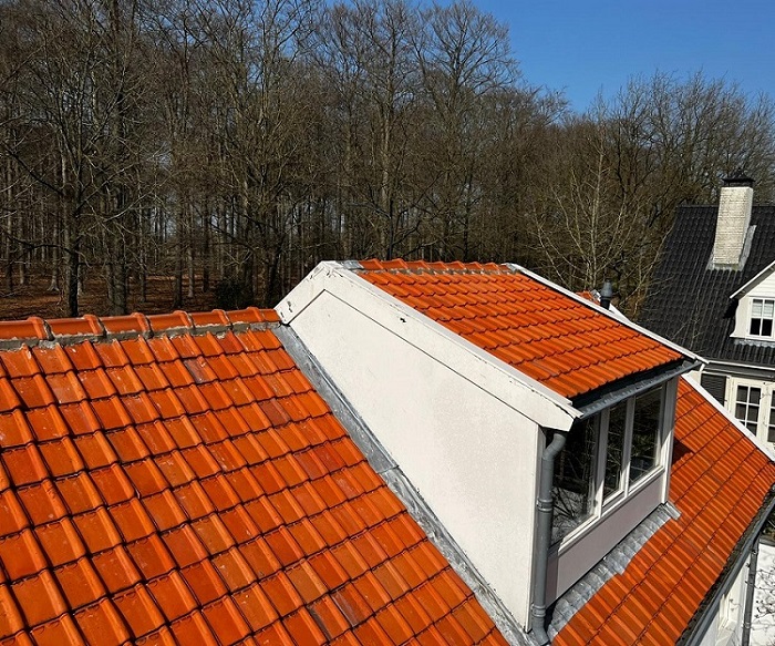 Dak reinigen Breda NA