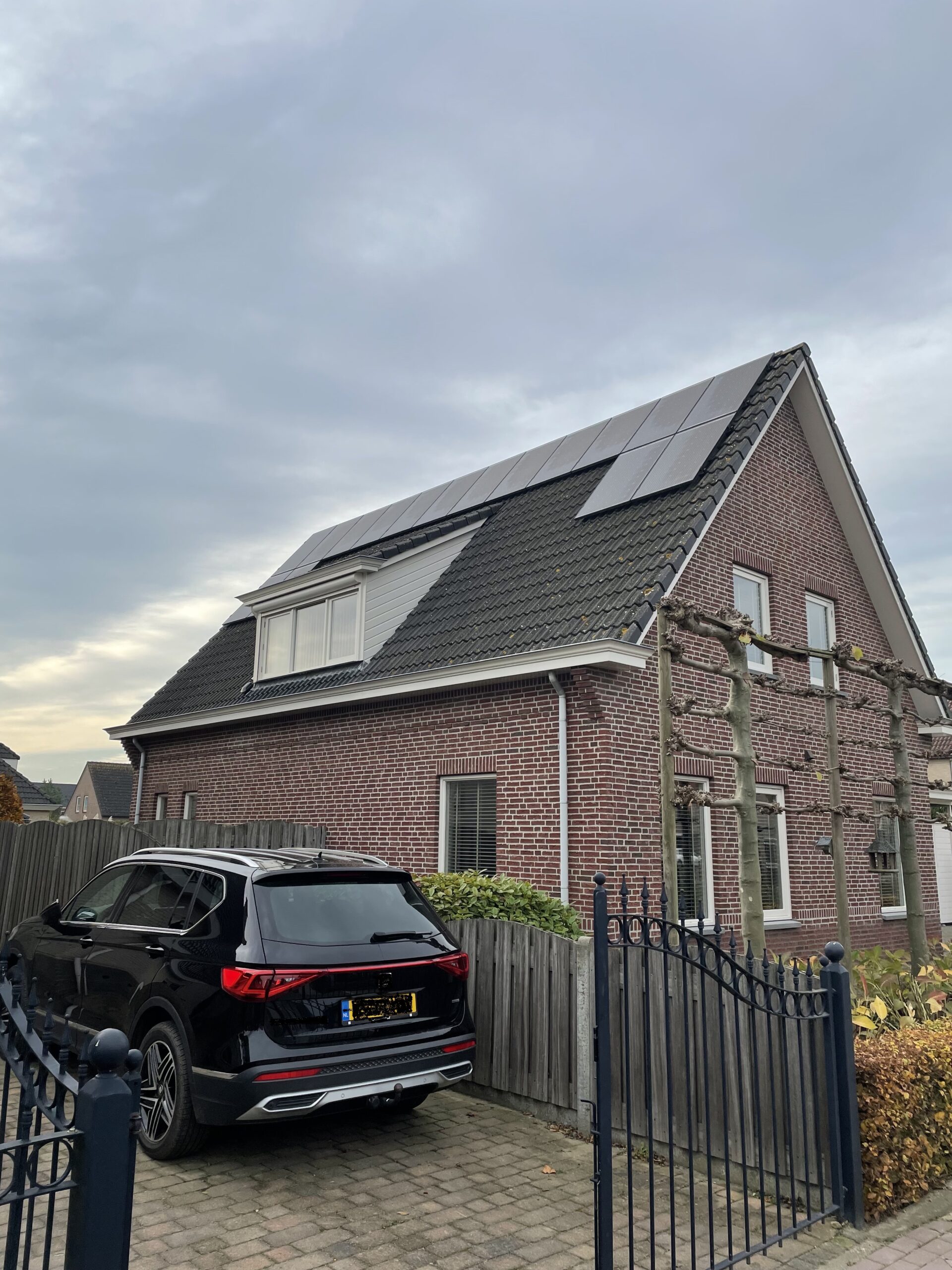 Dak reinigen Lage Zwaluwe VOOR