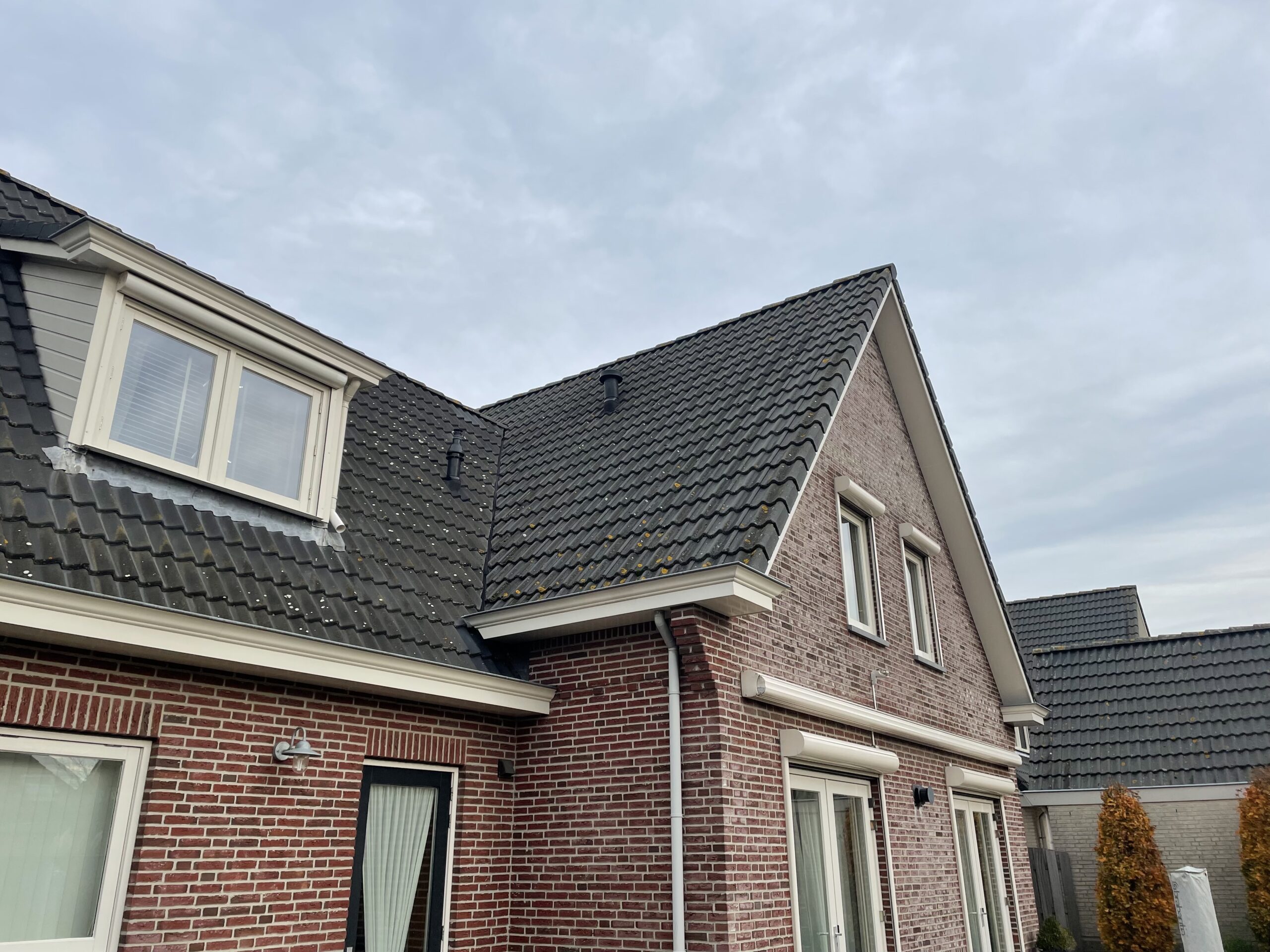 Dakreiniging Lage Zwaluwe VOOR