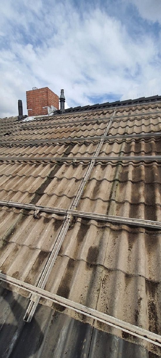 Zonnepanelen vogelwering Sint Willebrord