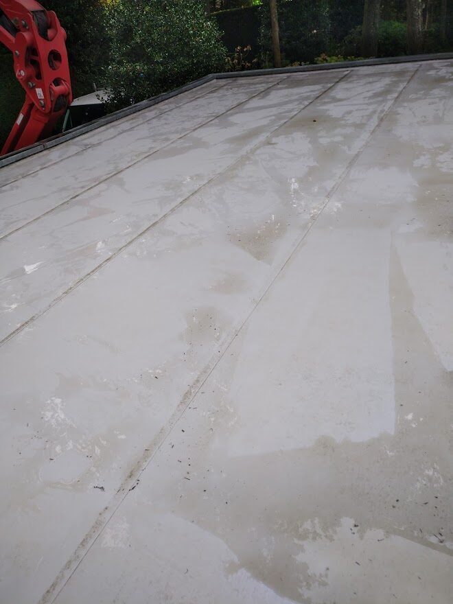 Plat dak schoonmaken NA