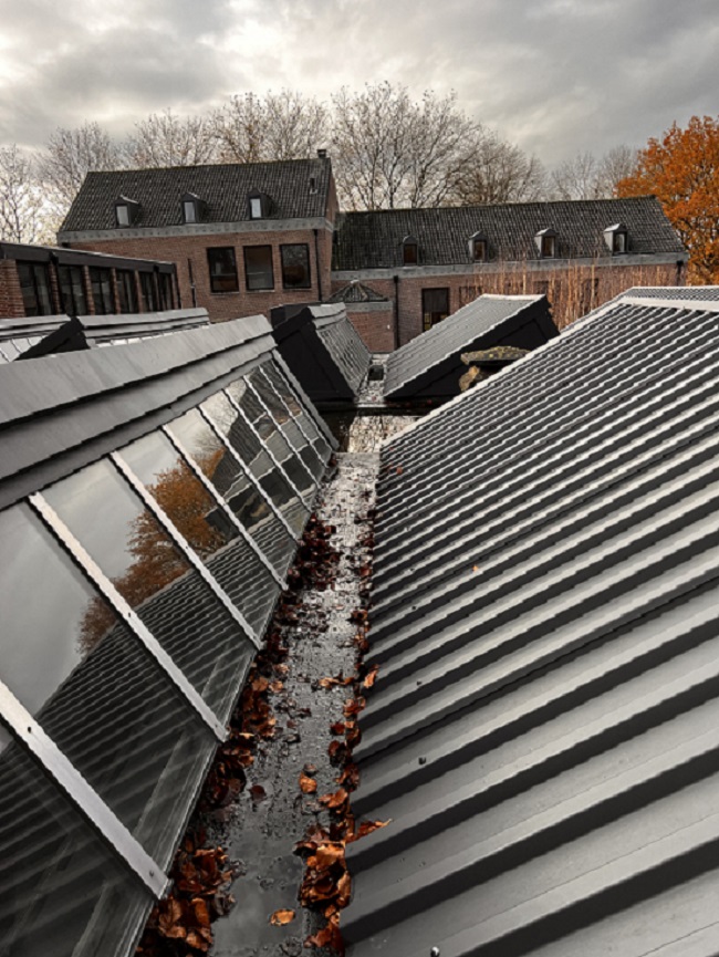Blad verwijderen platdak
