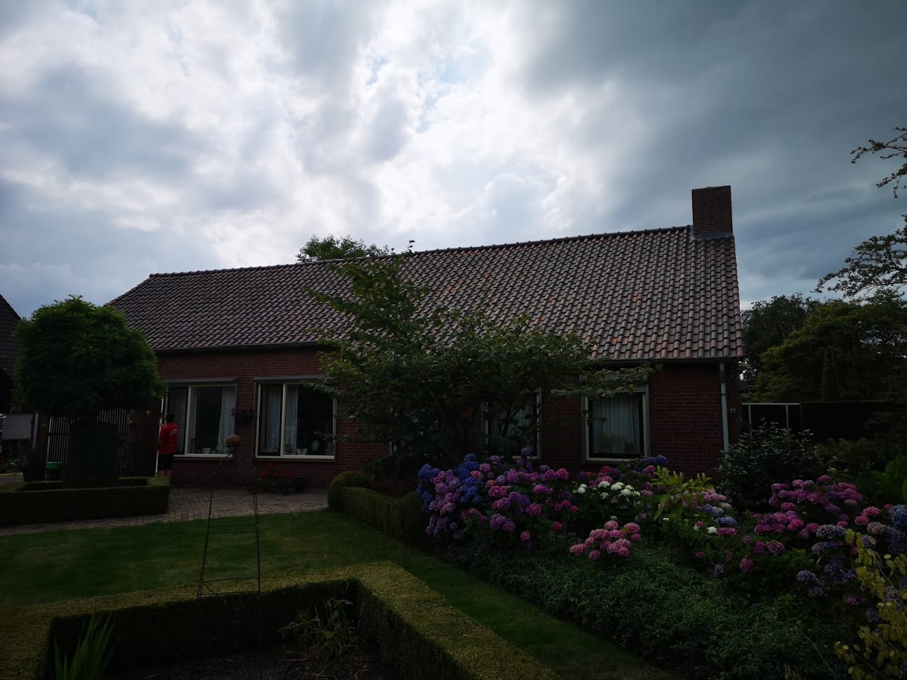 Dak reinigen