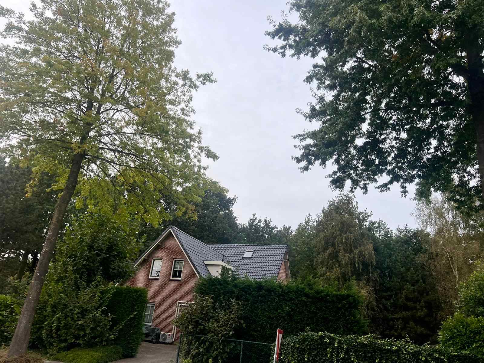 Dak coaten zijkant Hoogstraten NA