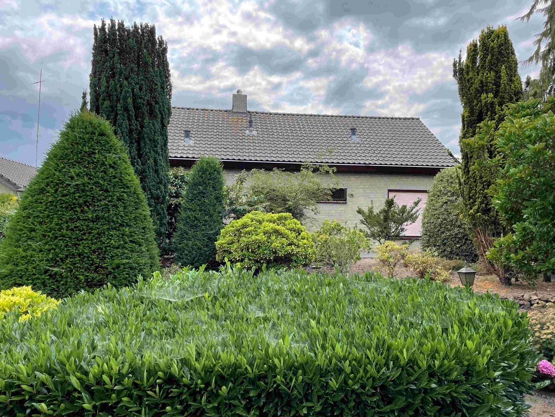 Dak schoonmaken Bergen op Zoom voorkant VOOR