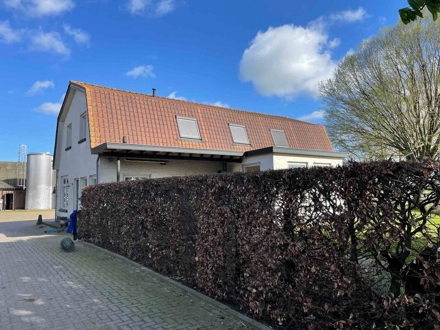 Achterkant dak schoonmaken VOOR